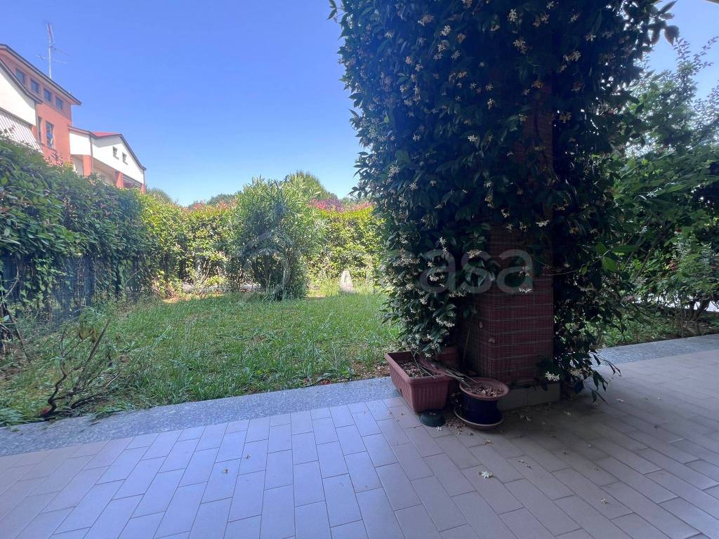 immagine annuncio 2 di 15