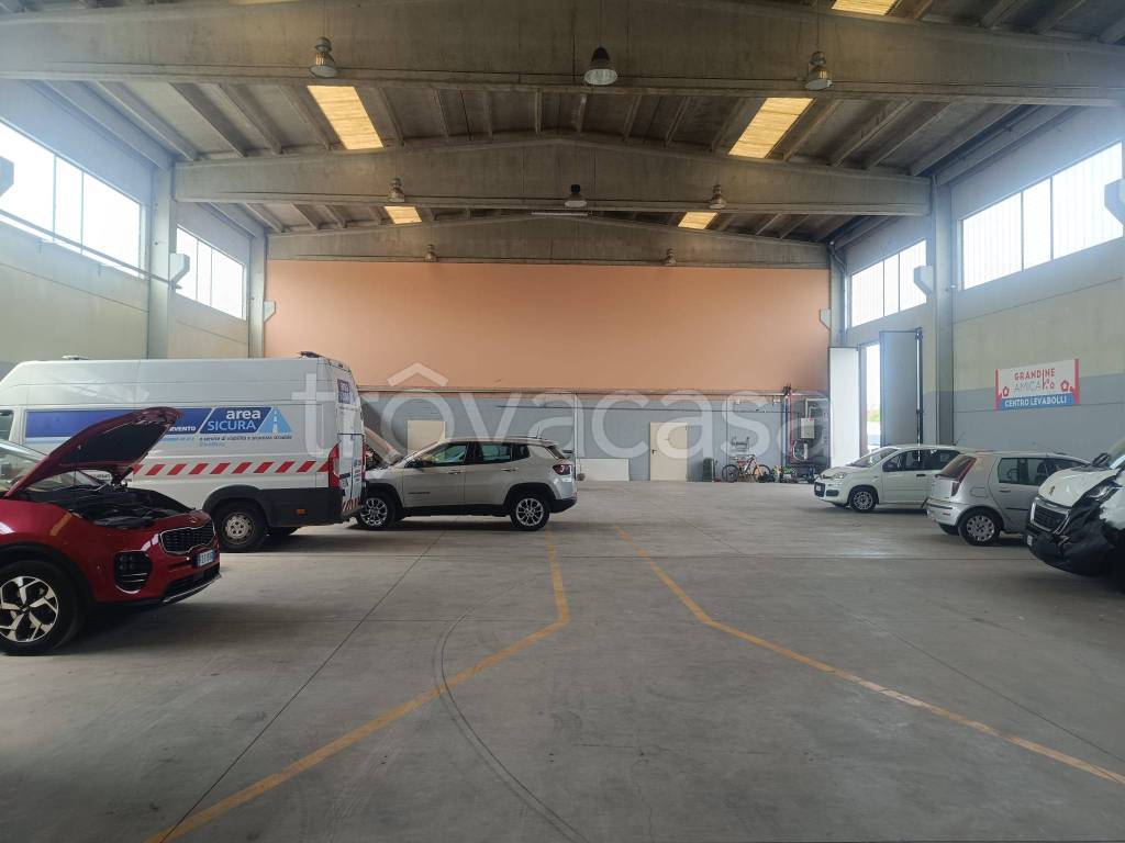 immagine annuncio 4 di 8