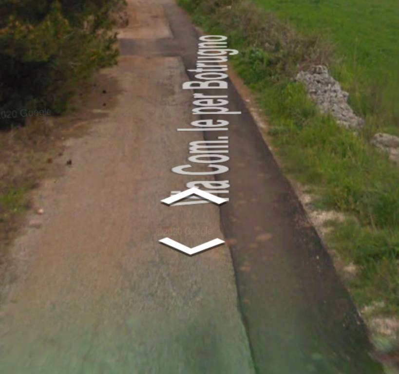 immagine annuncio 11 di 14