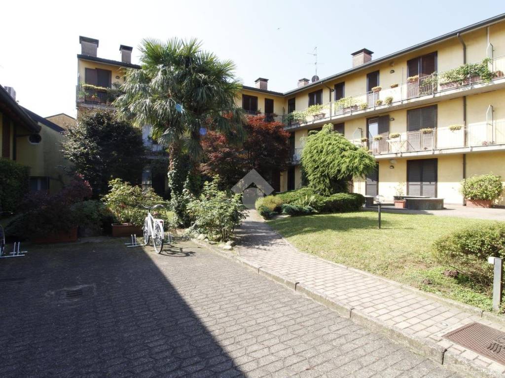 immagine annuncio 10 di 11