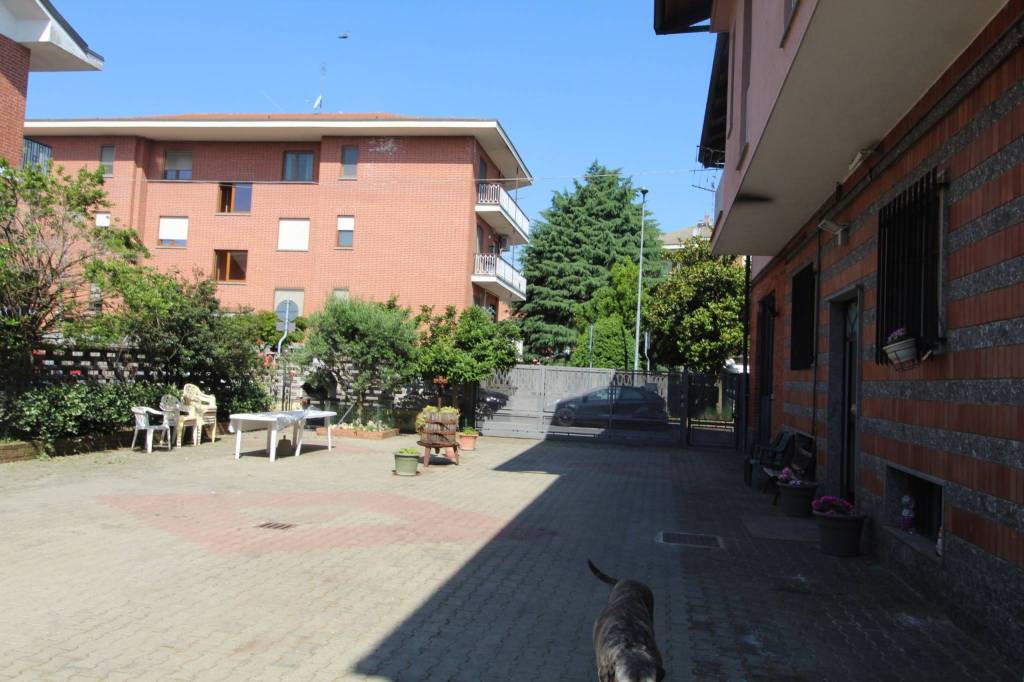 immagine annuncio 13 di 15