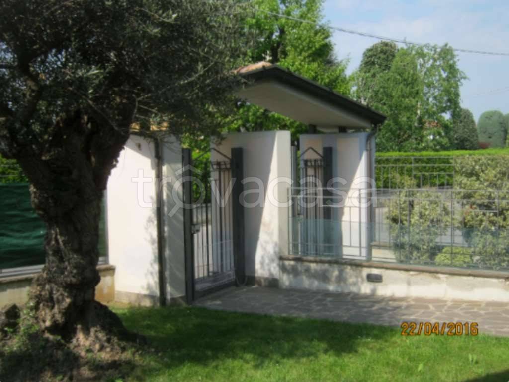 immagine annuncio 9 di 14