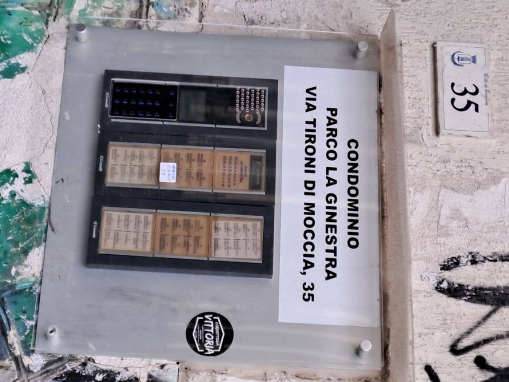 immagine annuncio 3 di 6