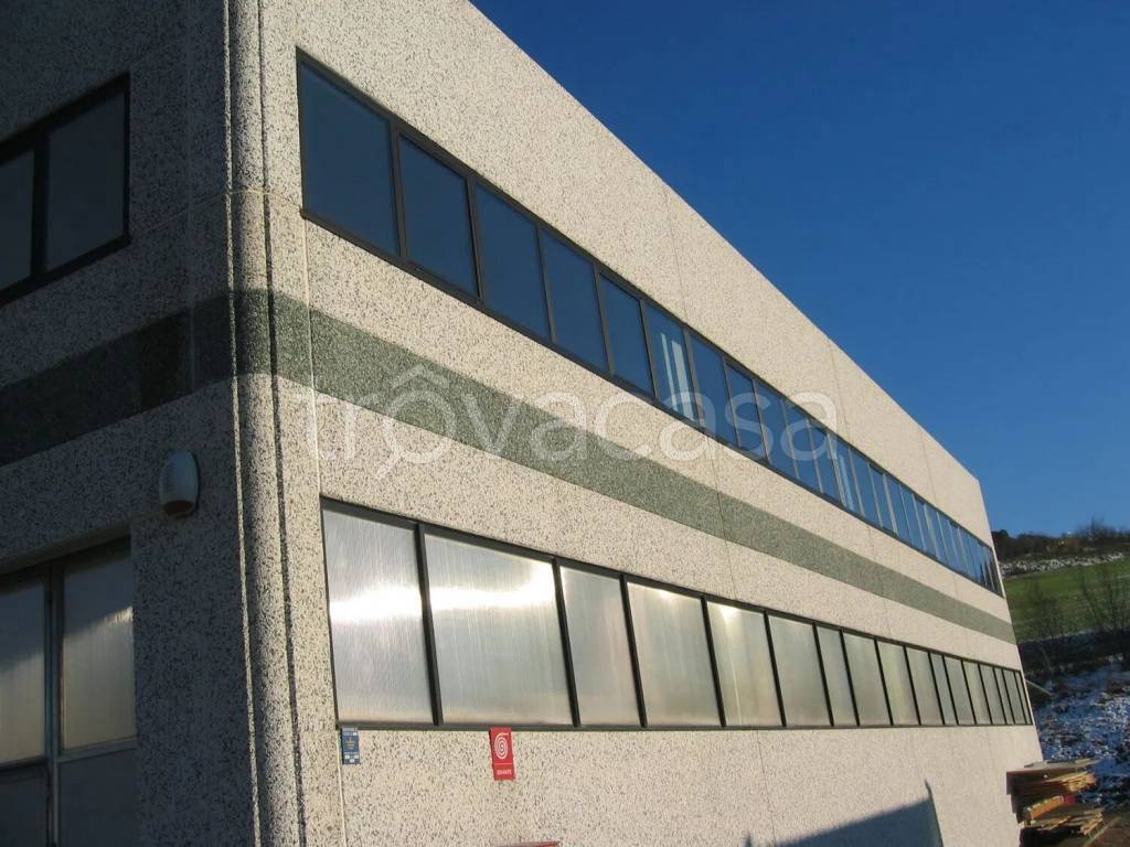 immagine annuncio 3 di 6