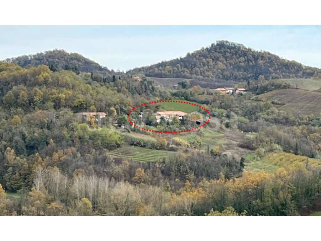 immagine annuncio 5 di 11