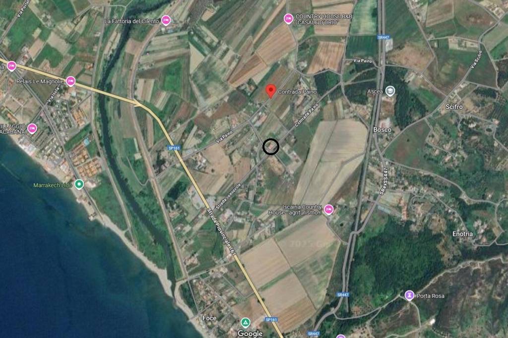 immagine annuncio 11 di 12