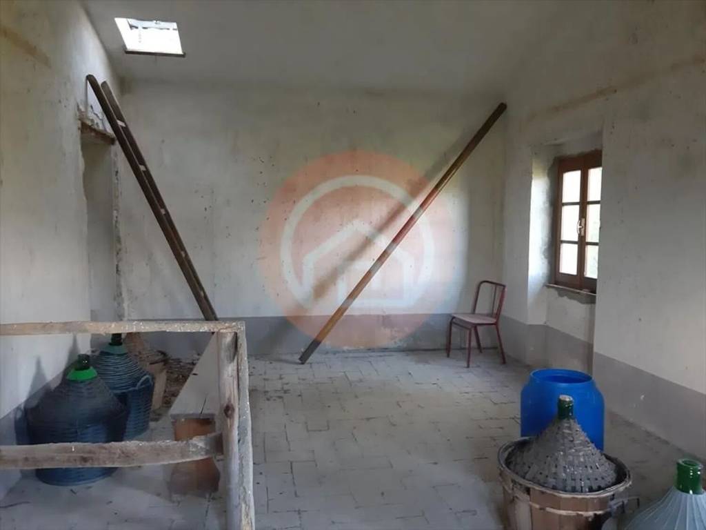 immagine annuncio 9 di 13