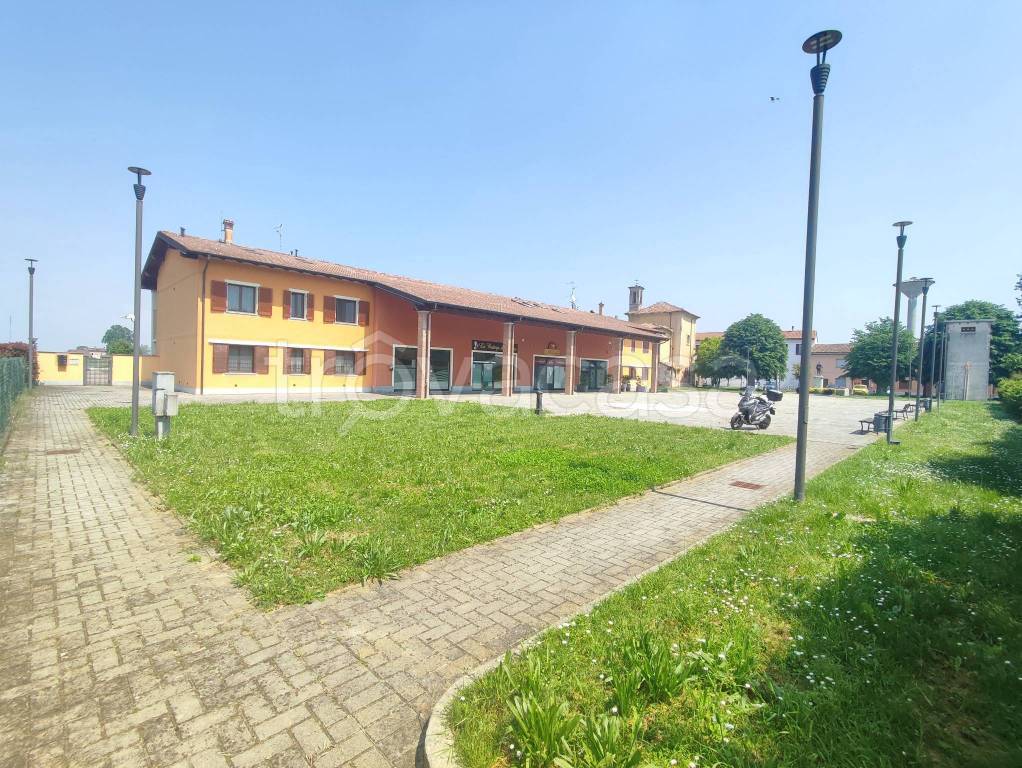 immagine annuncio 7 di 13
