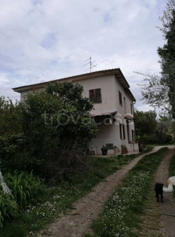 immagine annuncio 4 di 11