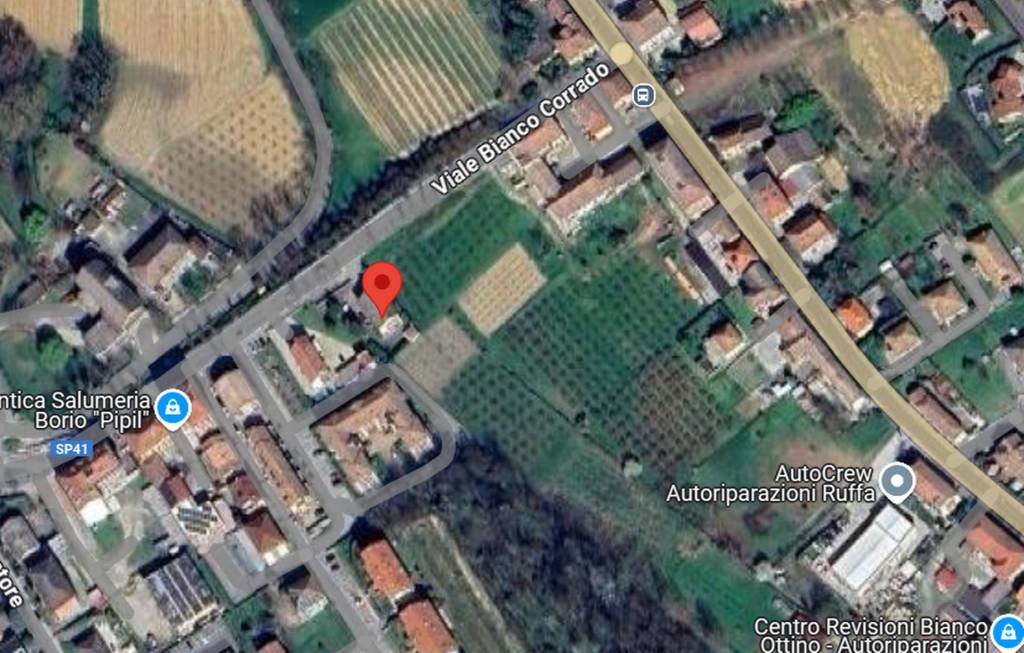 immagine annuncio 6 di 12