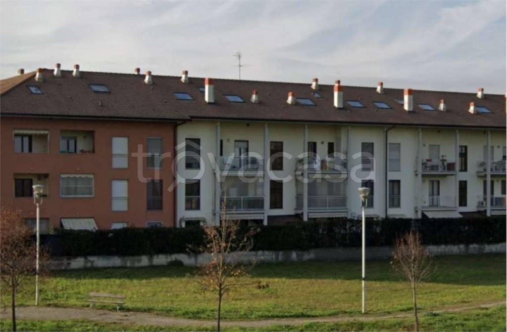 immagine annuncio 1 di 15