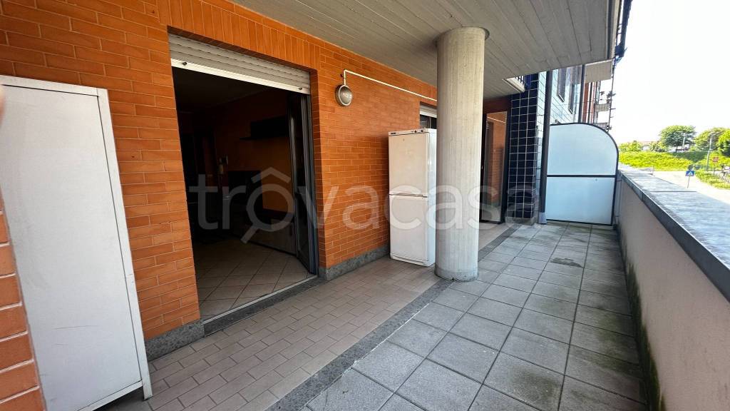 immagine annuncio 11 di 15