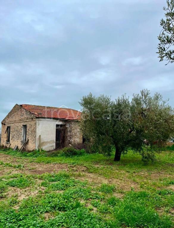 immagine annuncio 1 di 8