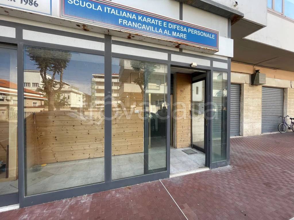 immagine annuncio 7 di 11