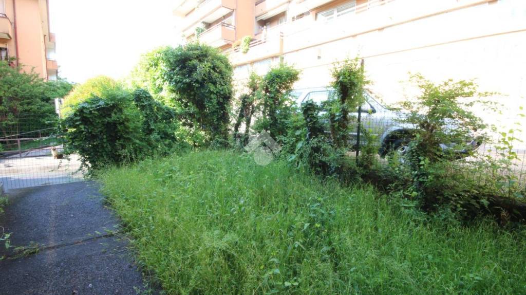 immagine annuncio 6 di 13