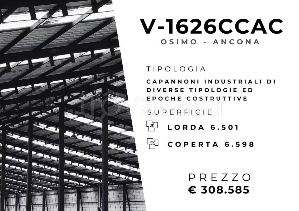 immagine annuncio 1 di 11