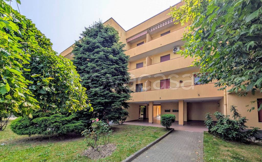 immagine annuncio 7 di 15
