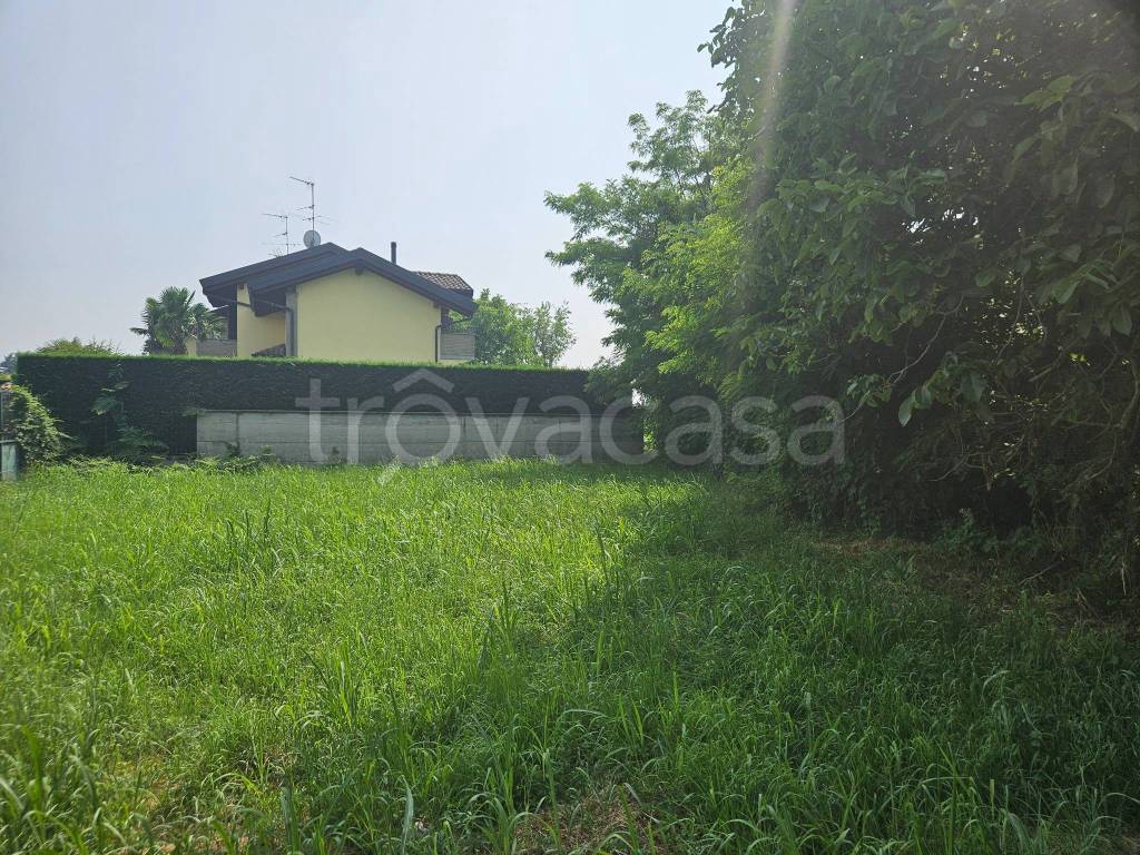 immagine annuncio 1 di 11
