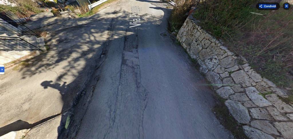 immagine annuncio 3 di 6