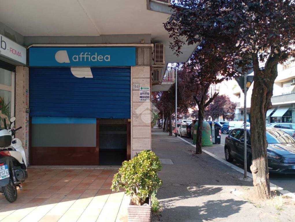 immagine annuncio 2 di 13