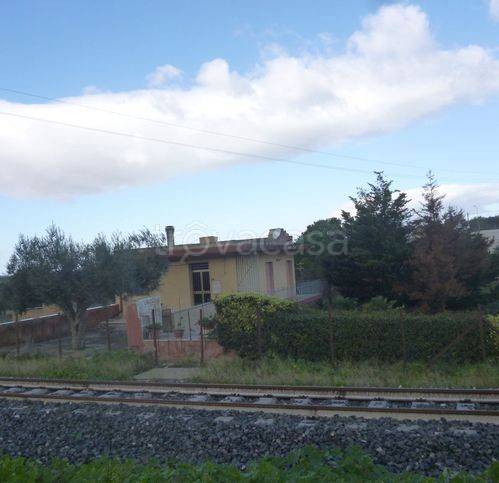 immagine annuncio 6 di 7