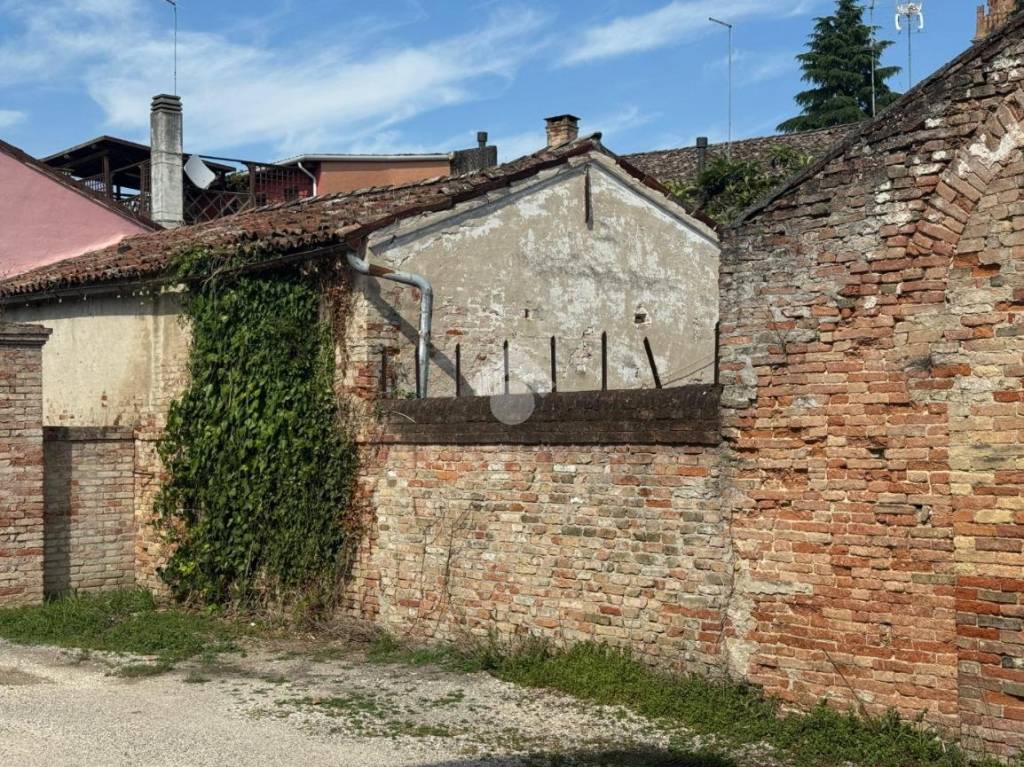immagine annuncio 5 di 8
