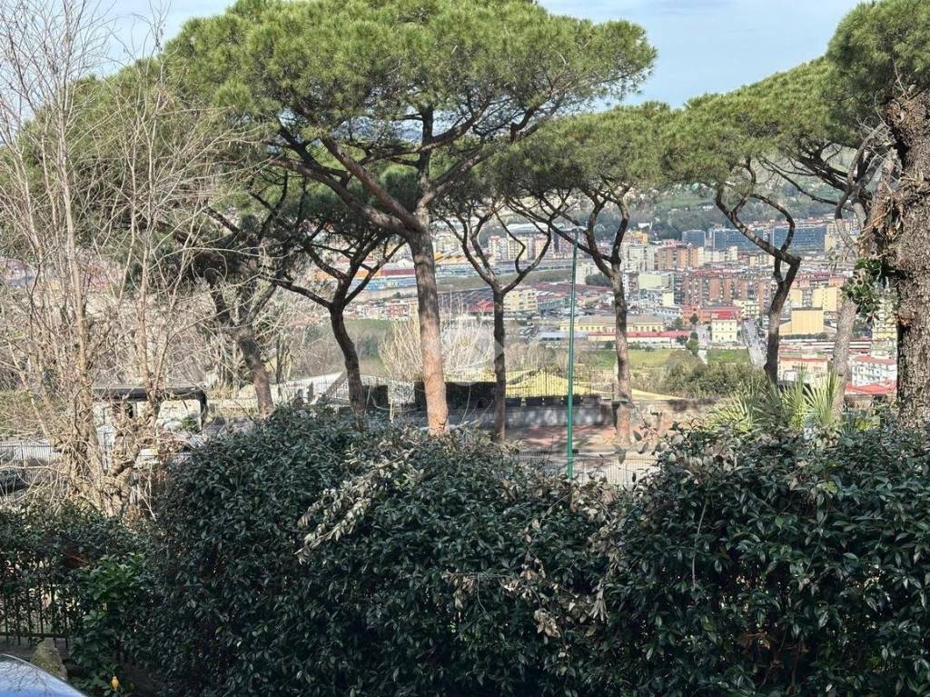 immagine annuncio 8 di 14