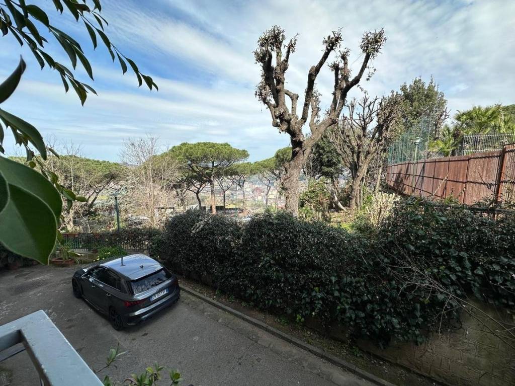 immagine annuncio 6 di 14