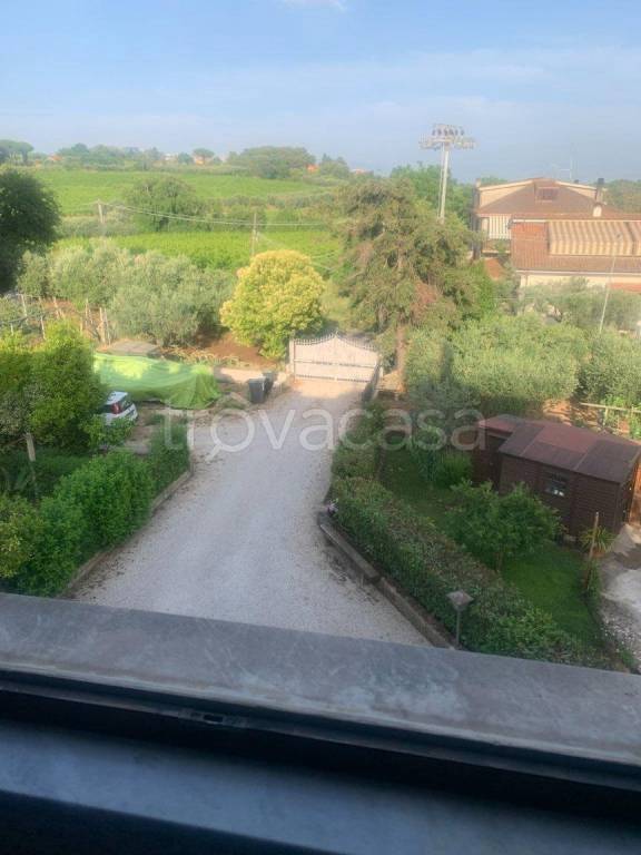immagine annuncio 13 di 14
