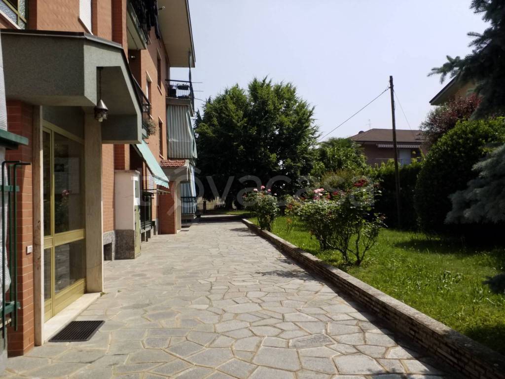 immagine annuncio 5 di 15