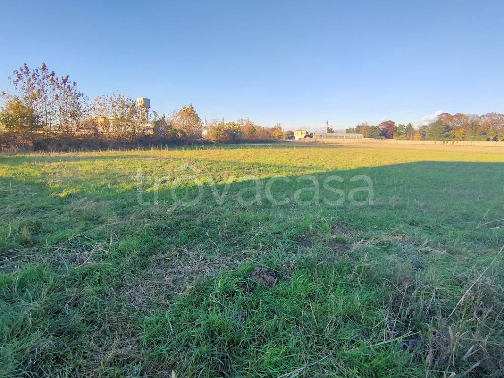 immagine annuncio 3 di 14