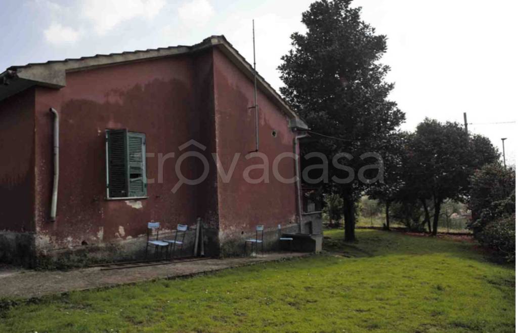 immagine annuncio 4 di 11