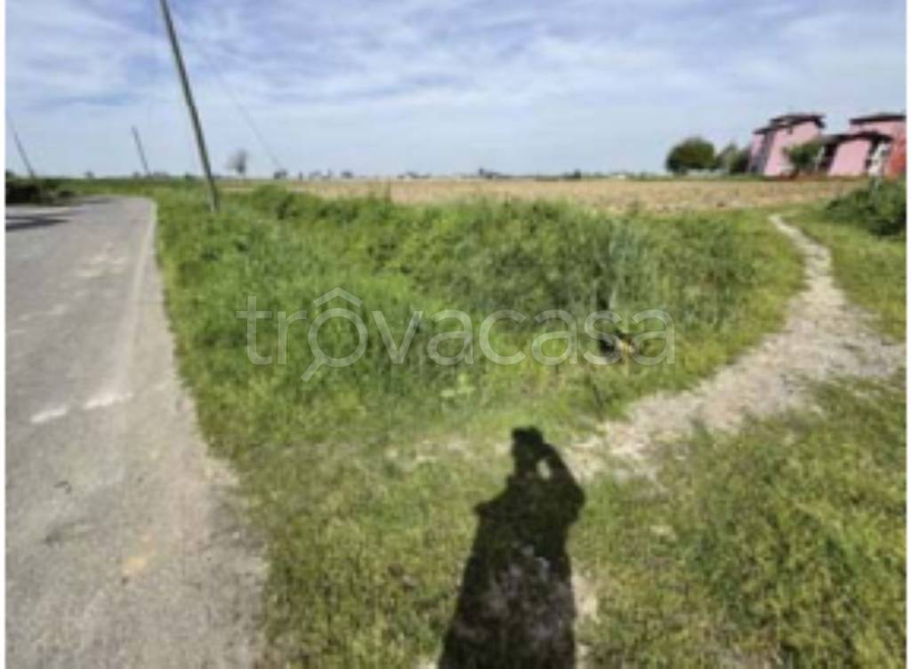 immagine annuncio 2 di 12