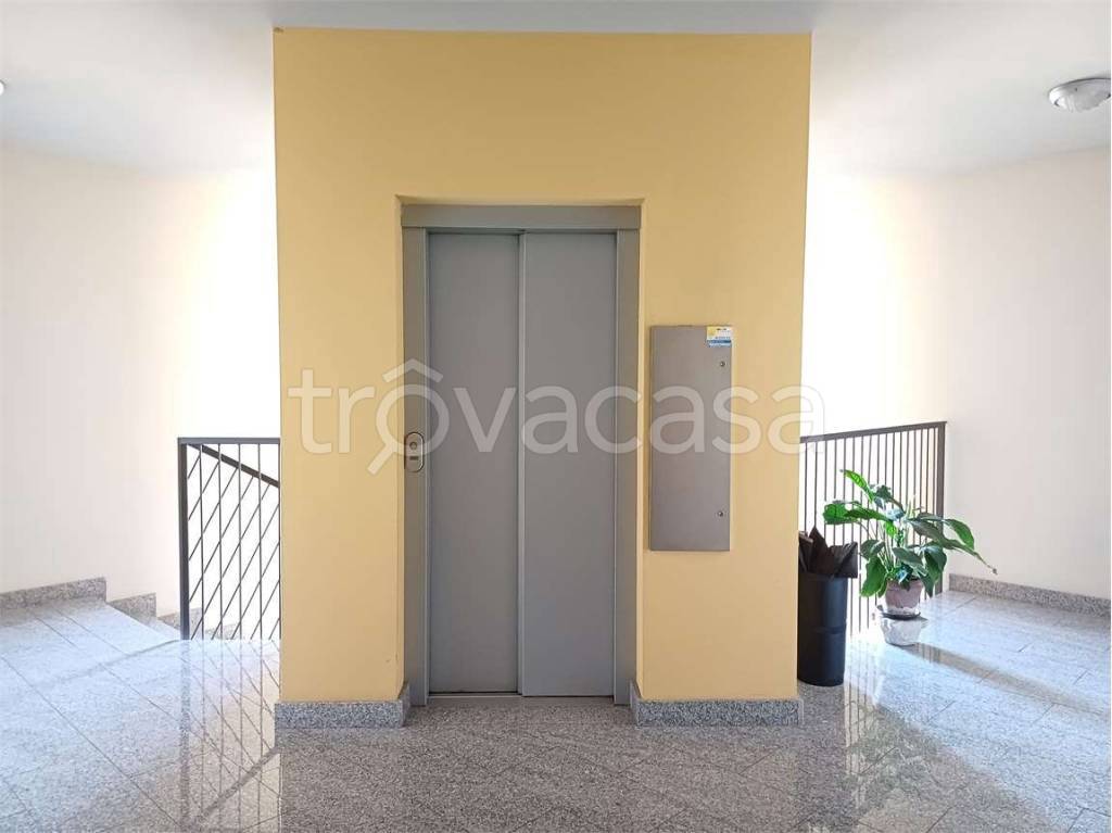 immagine annuncio 11 di 14