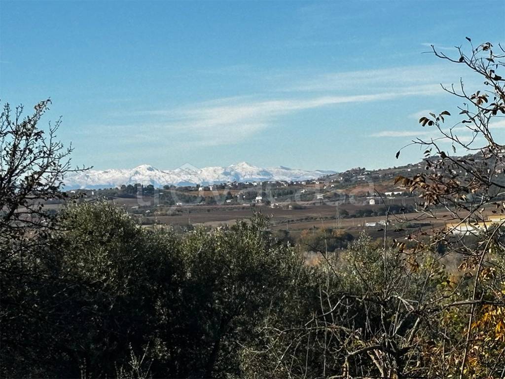 immagine annuncio 5 di 6