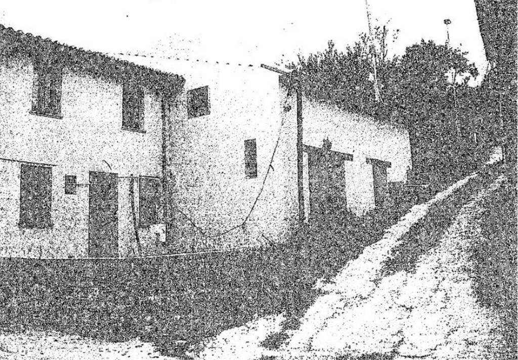 immagine annuncio 3 di 11