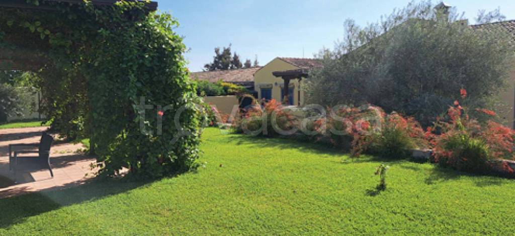 immagine annuncio 6 di 11