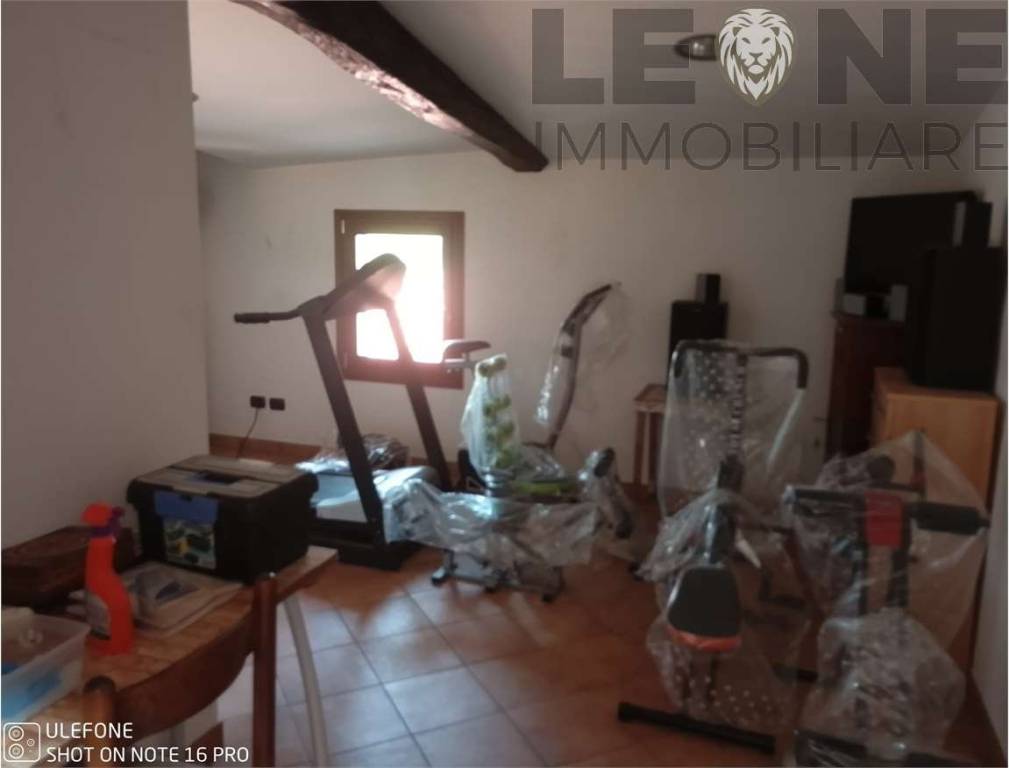 immagine annuncio 5 di 8