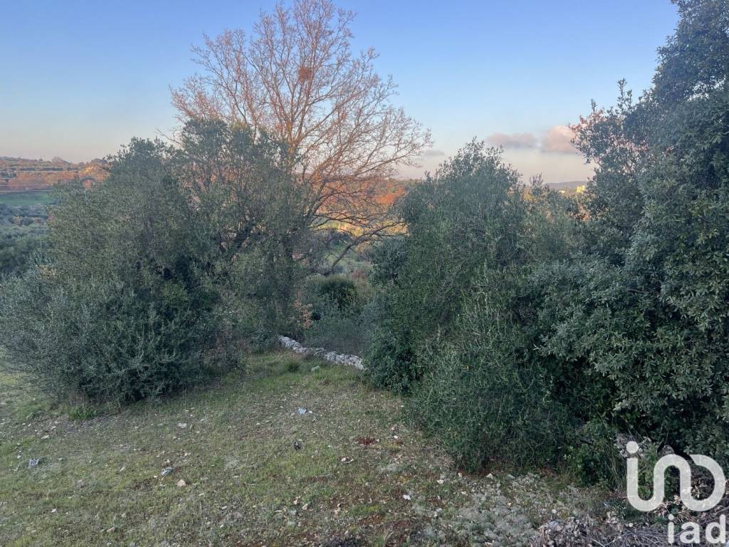 immagine annuncio 4 di 8