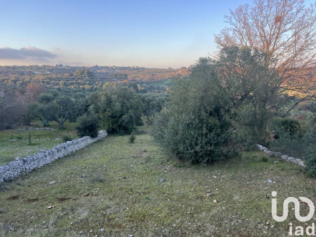immagine annuncio 5 di 8