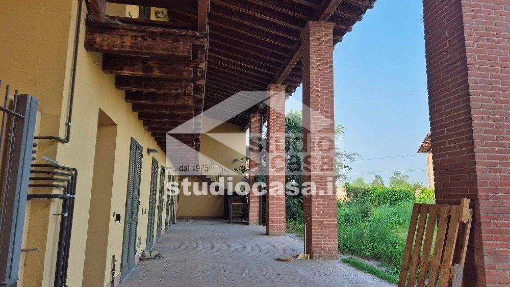 immagine annuncio 9 di 12