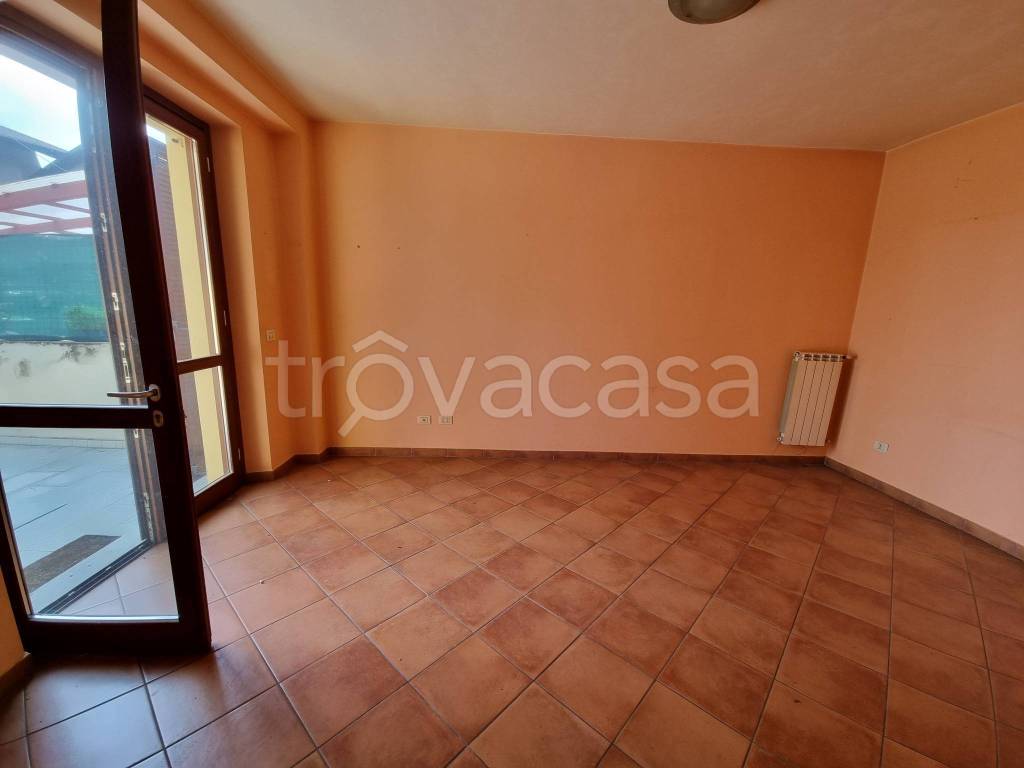 immagine annuncio 2 di 16