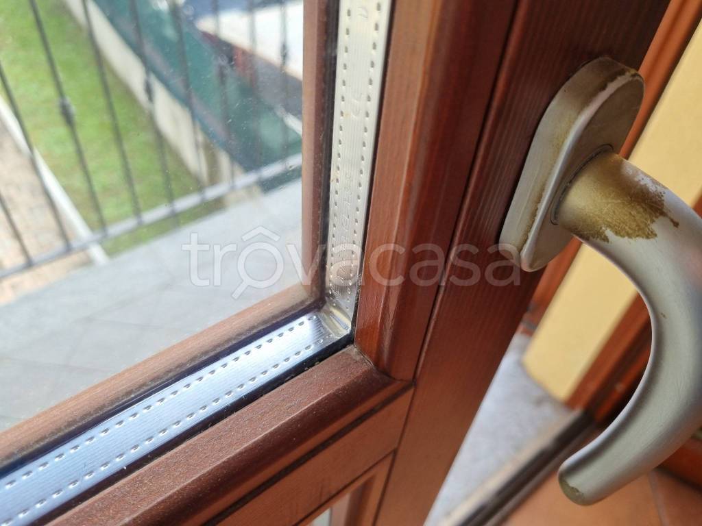 immagine annuncio 11 di 16