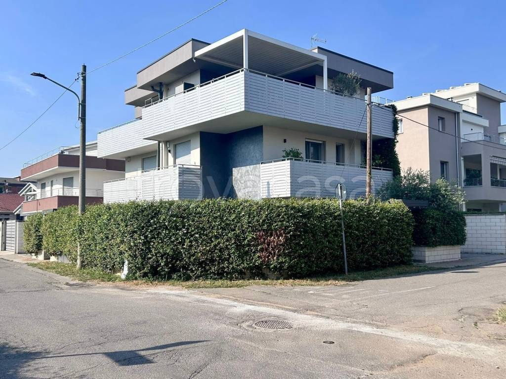 immagine annuncio 9 di 15