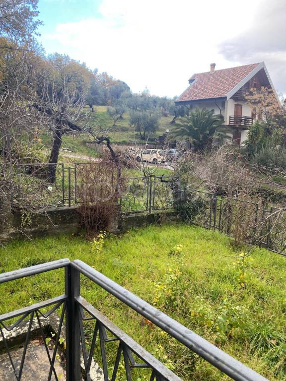 immagine annuncio 1 di 8