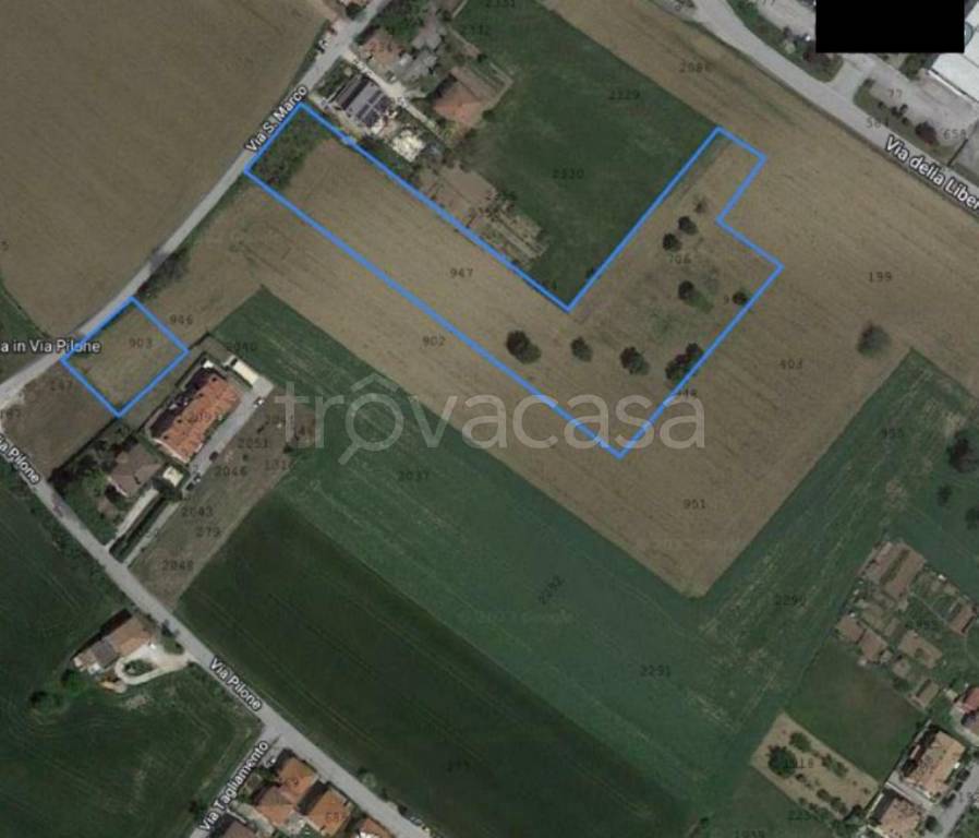 immagine annuncio 3 di 11