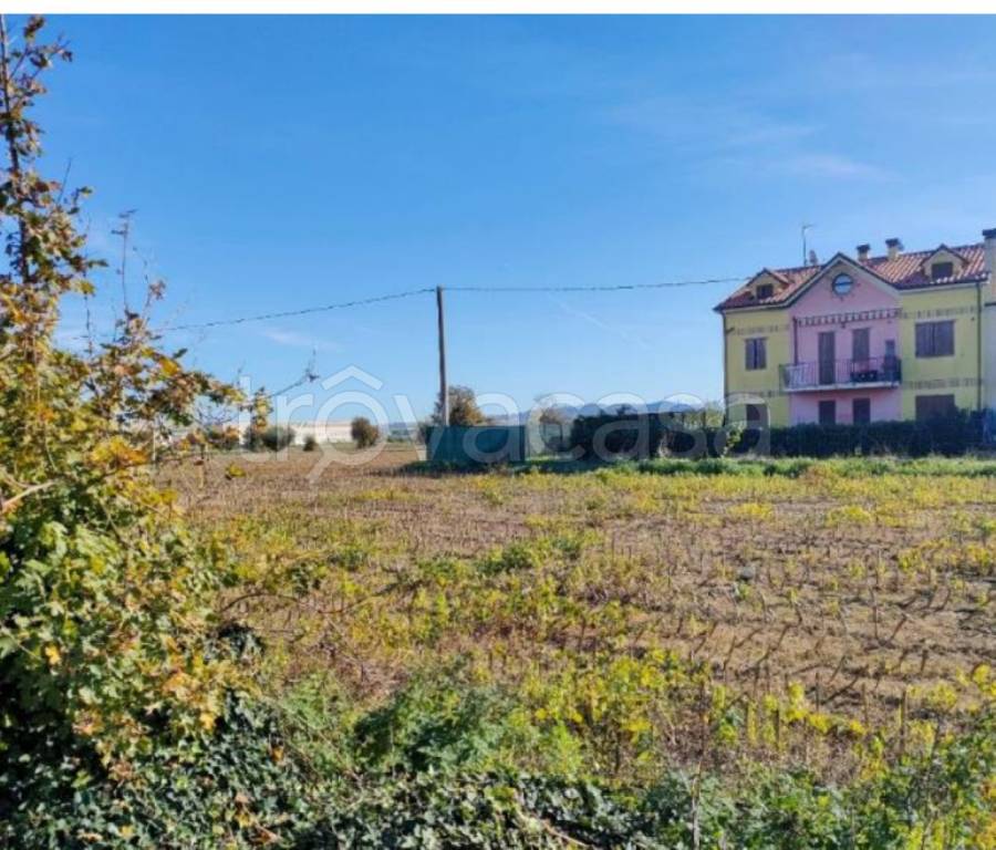 immagine annuncio 5 di 11