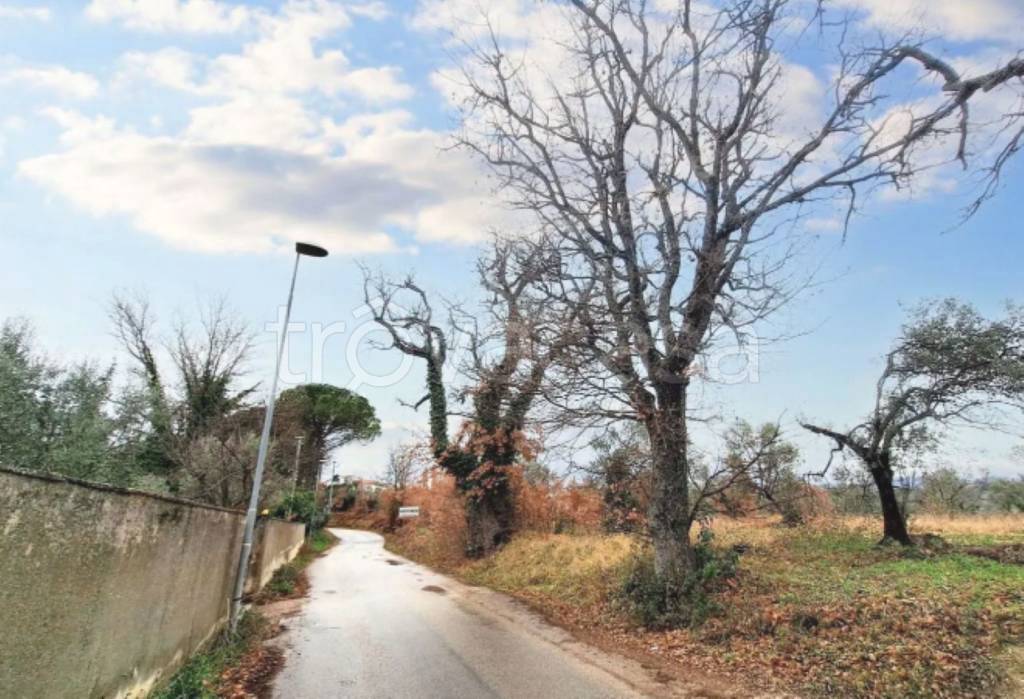immagine annuncio 3 di 11