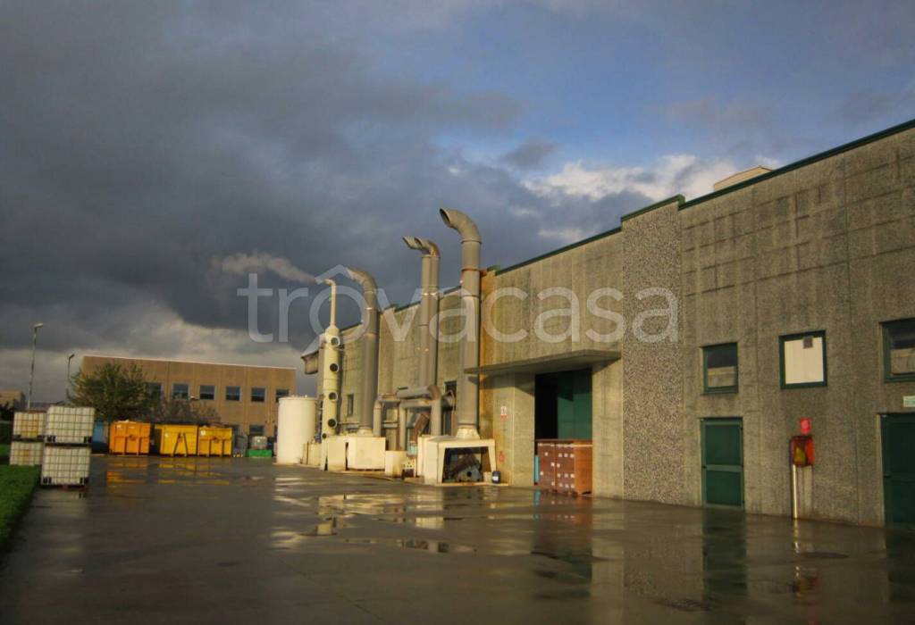 immagine annuncio 4 di 12