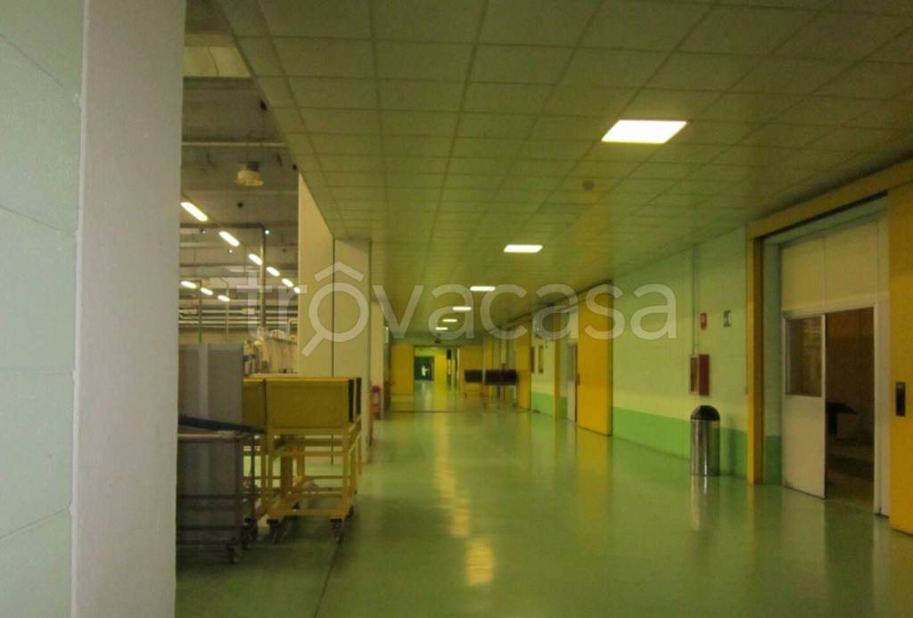 immagine annuncio 6 di 12